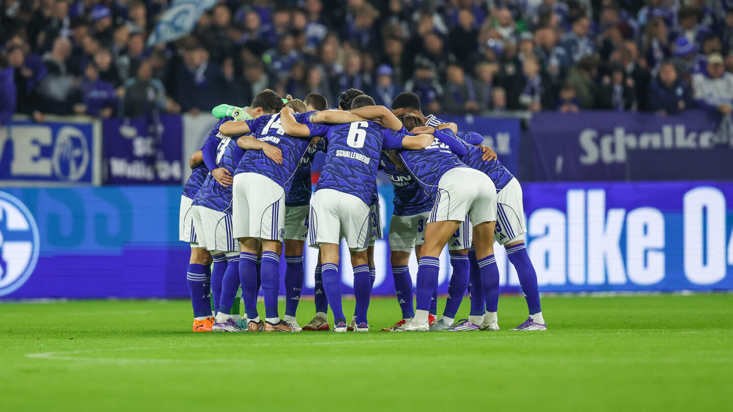 FC Schalke 04 - SV Darmstadt 98