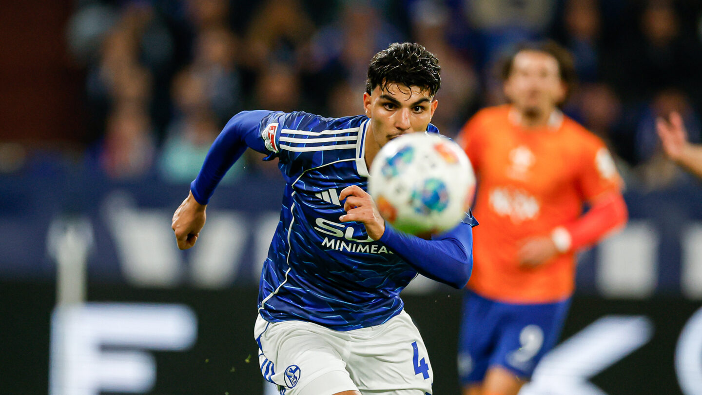 FC Schalke 04 - SV Darmstadt 98