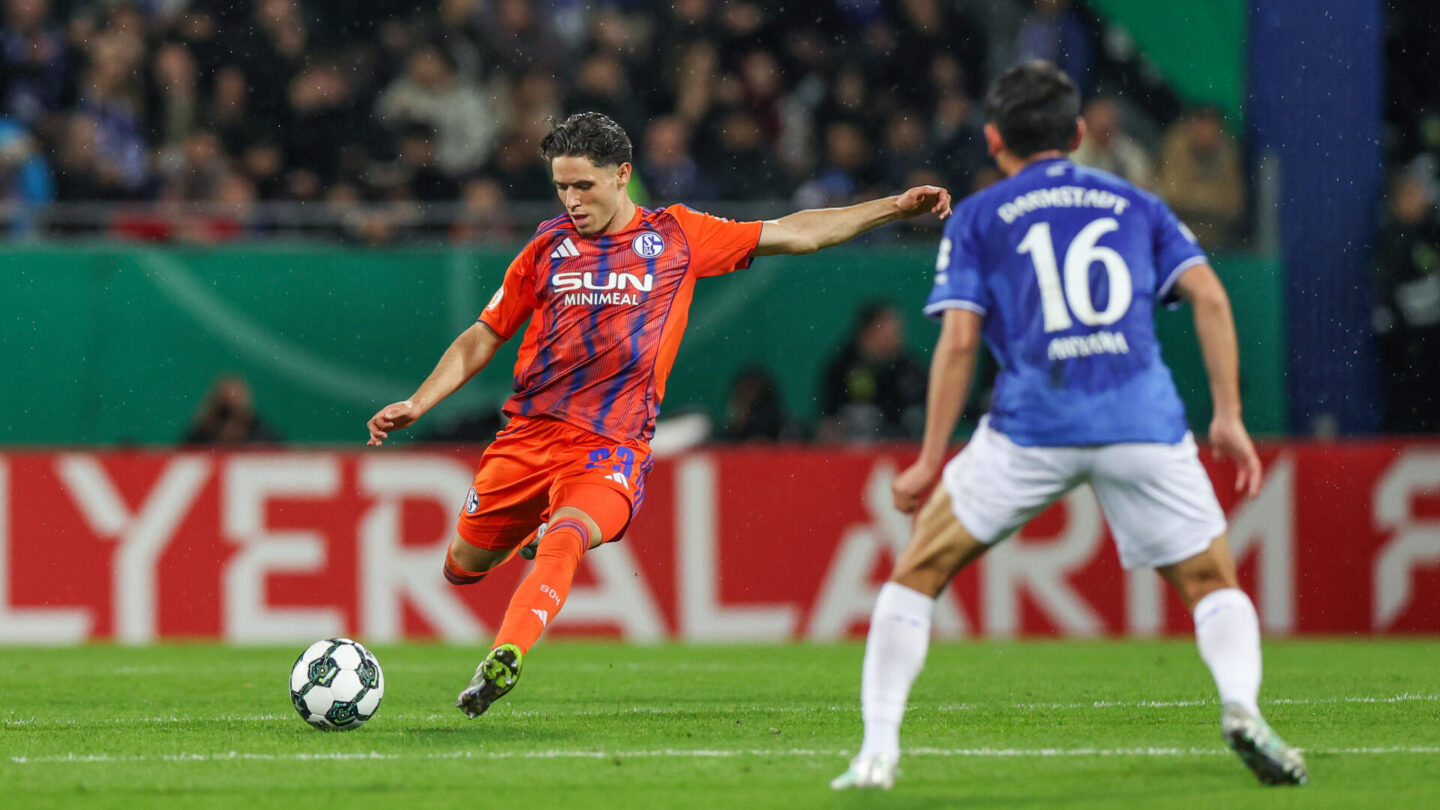 SV Darmstadt 98 - FC Schalke 04