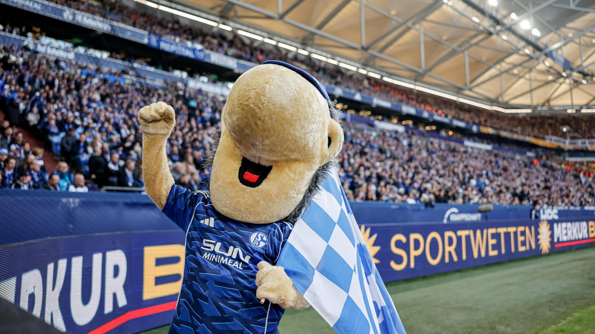 FC Schalke 04 - Dynamo Dresden