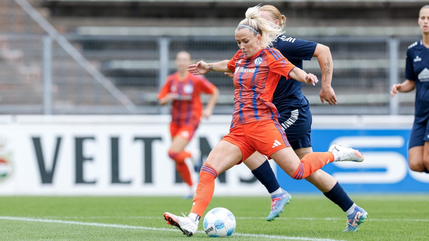 20260318_Islacker (13)