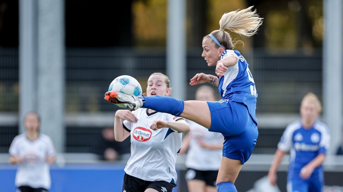 20260318_Islacker (15)