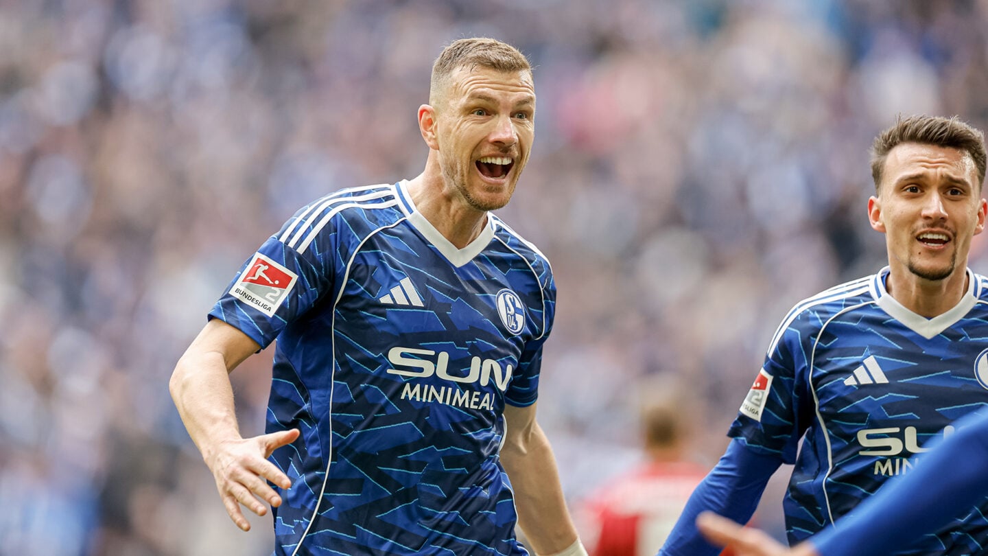 FC Schalke 04 - Hannover 96