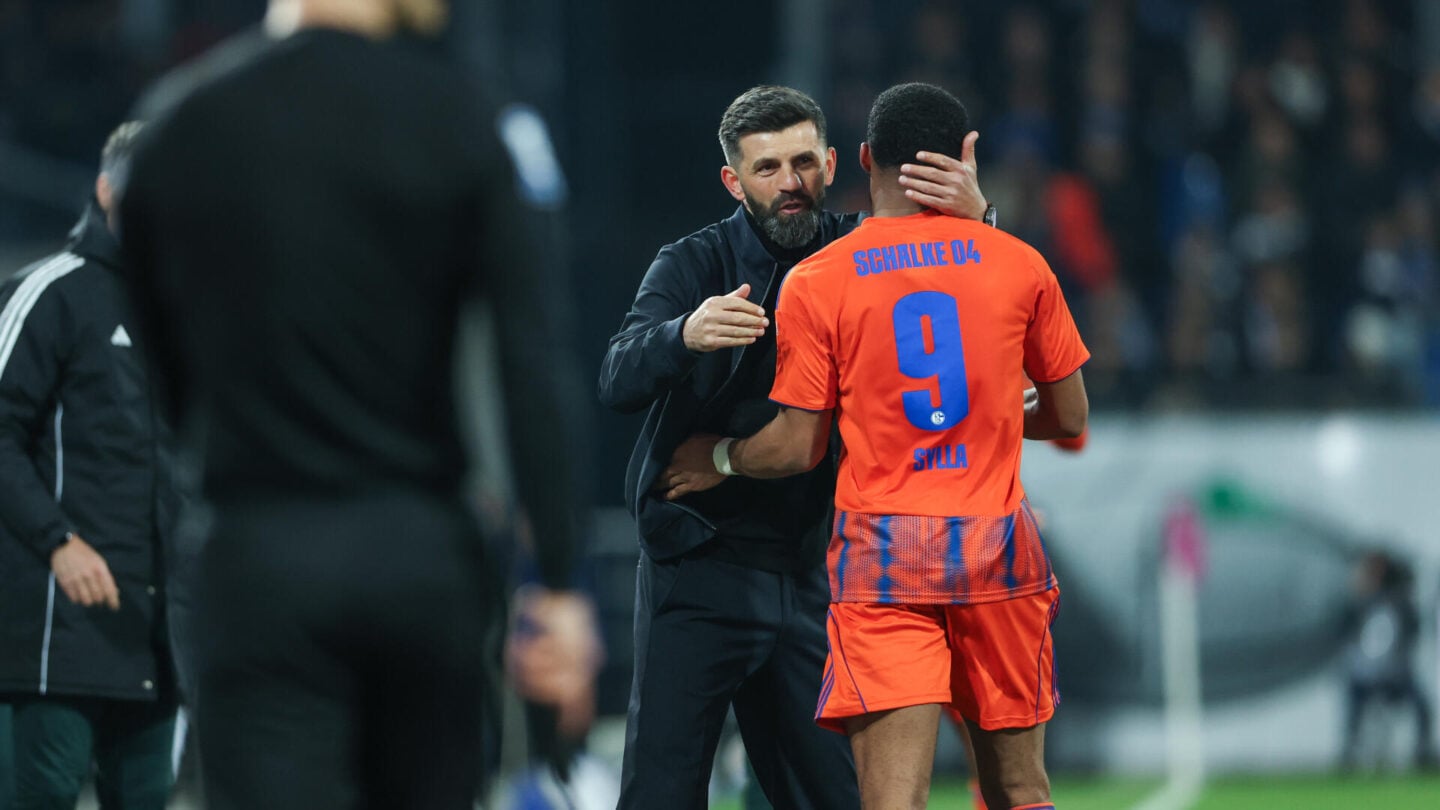 SV Darmstadt 98 - FC Schalke 04