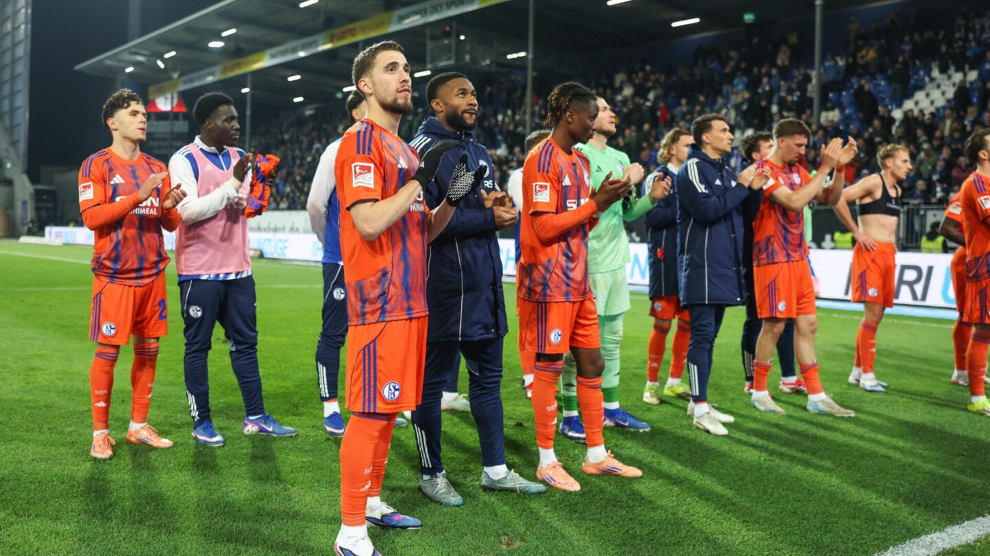 SV Darmstadt 98 - FC Schalke 04