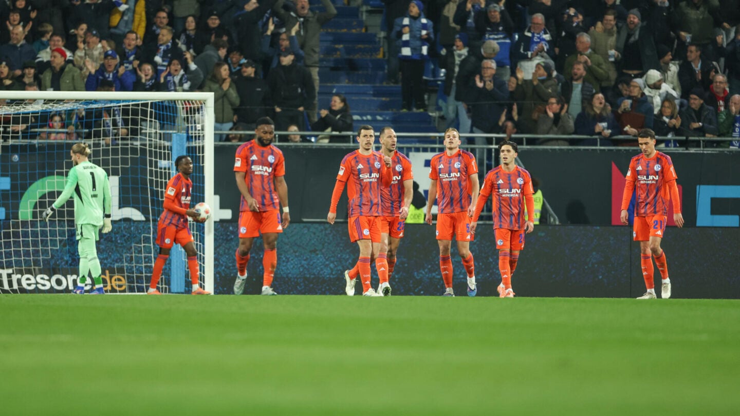SV Darmstadt 98 - FC Schalke 04