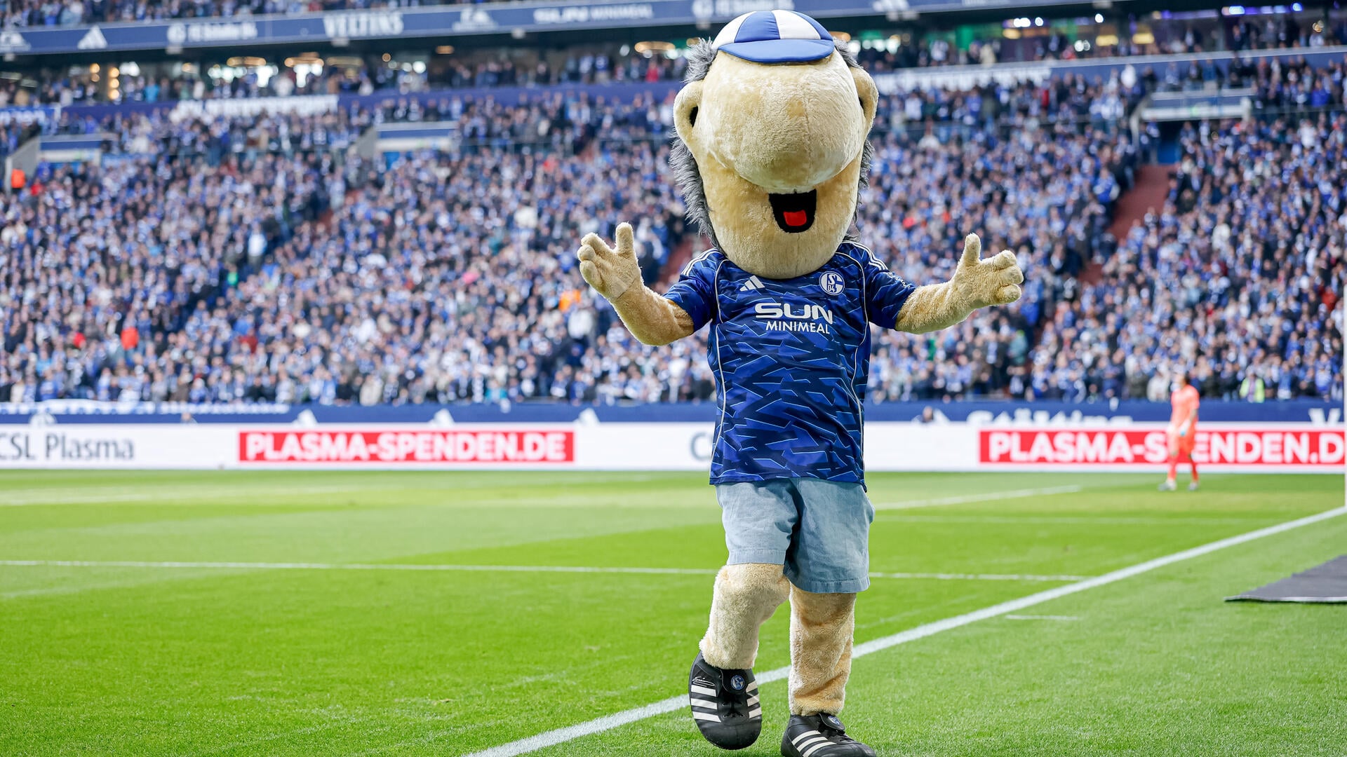 FC Schalke 04 - Hannover 96