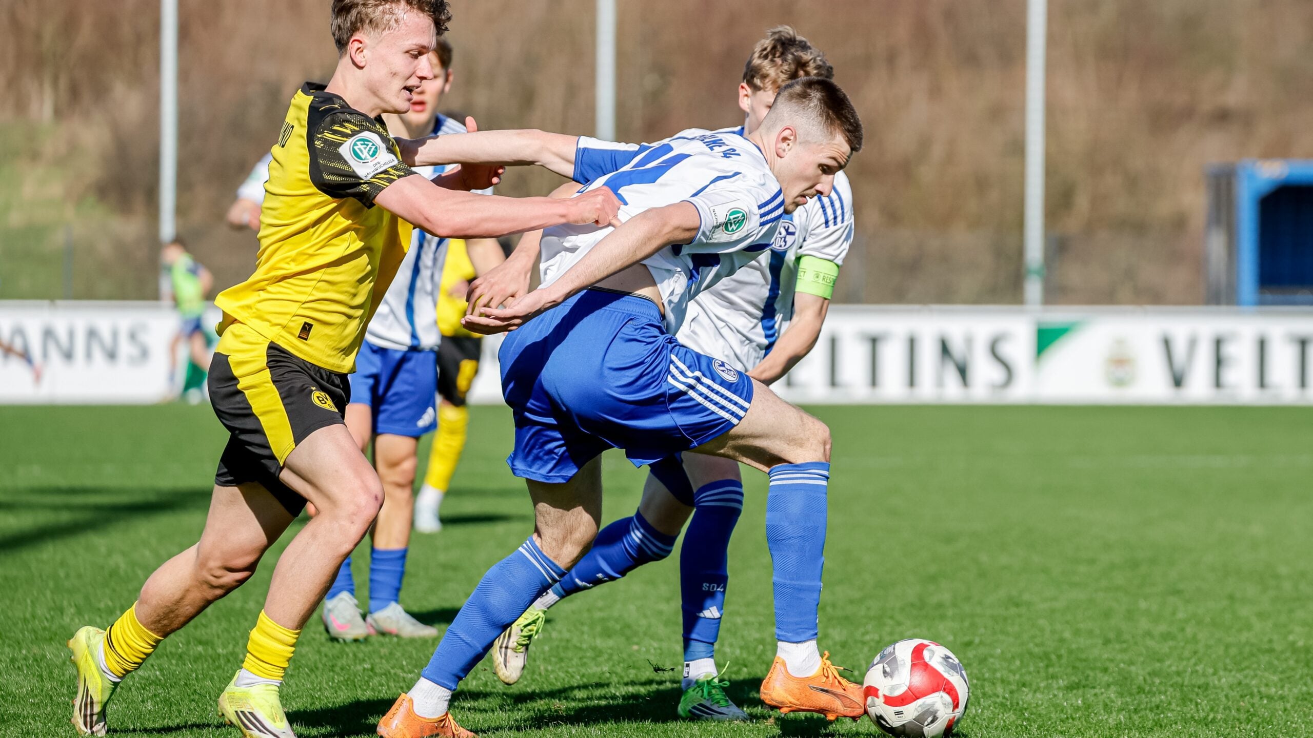 Knappenschmiede-U19-Dortmund-DFB-Nachwuchsliga