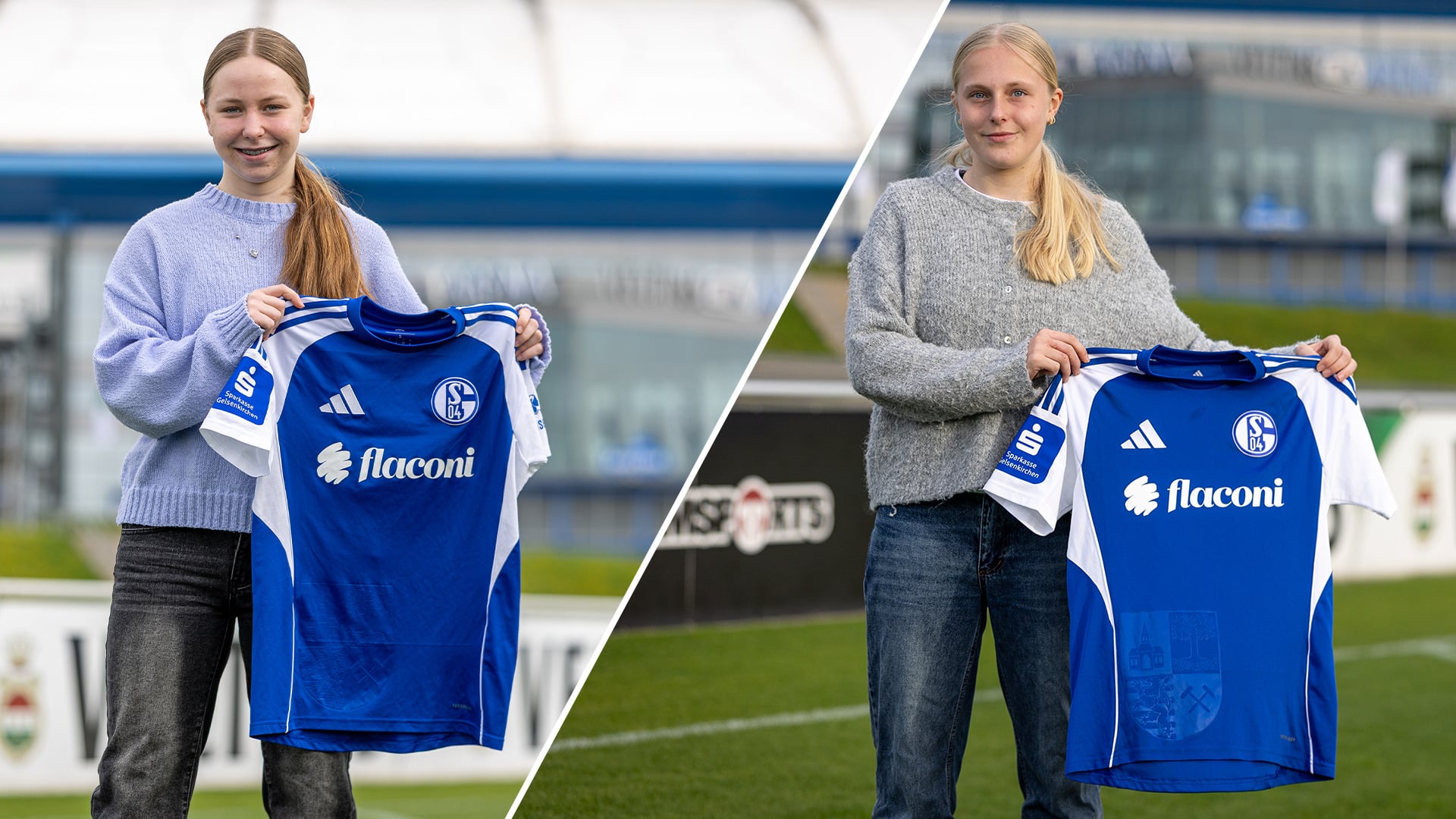 Vorlage_Neuzugänge