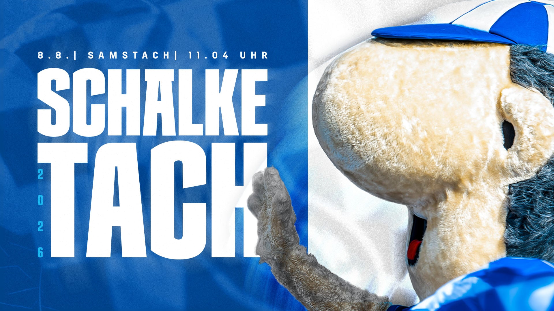 Schalke-Tach 2026