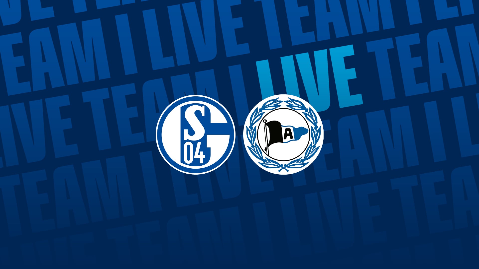 Westfalenpokal_Finale_HD 700
