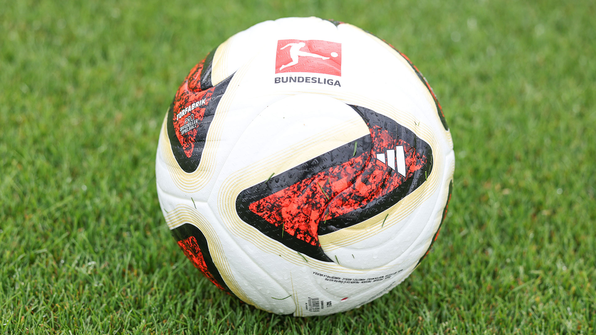 feature-ball
