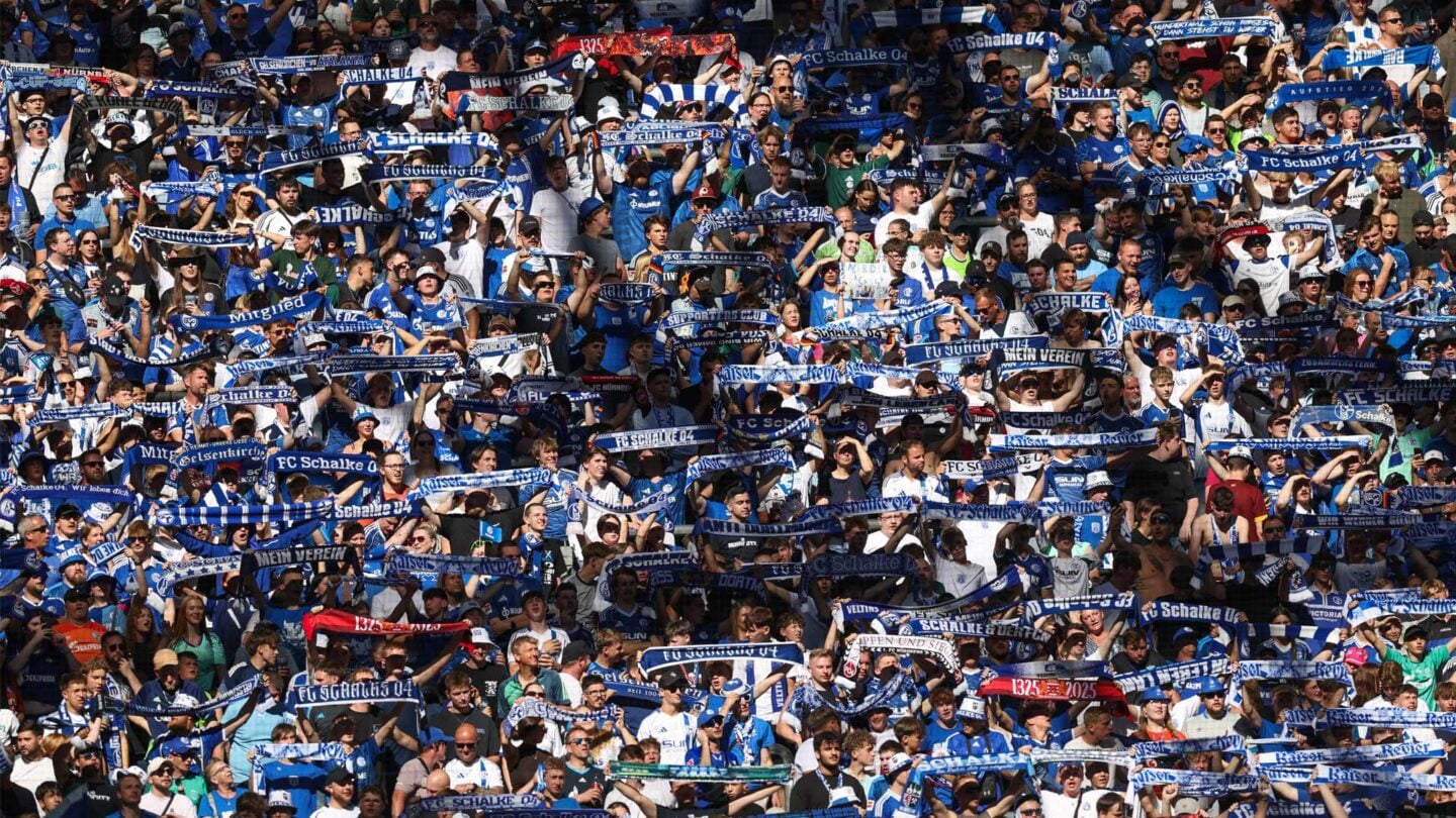 20260808-Fans