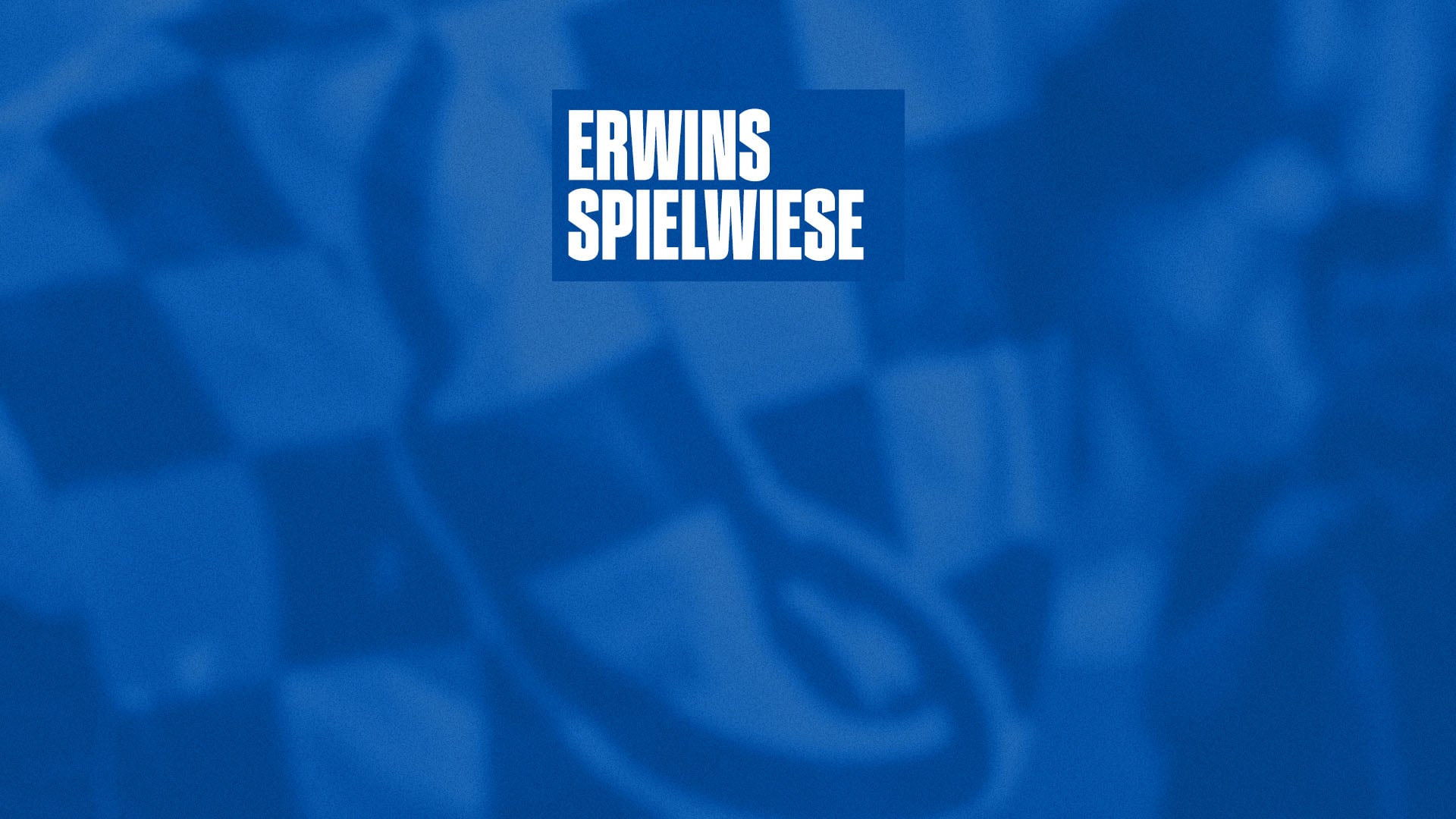 260617_Schalke-Tach_26_ERWINS-Spielwiese_HD700