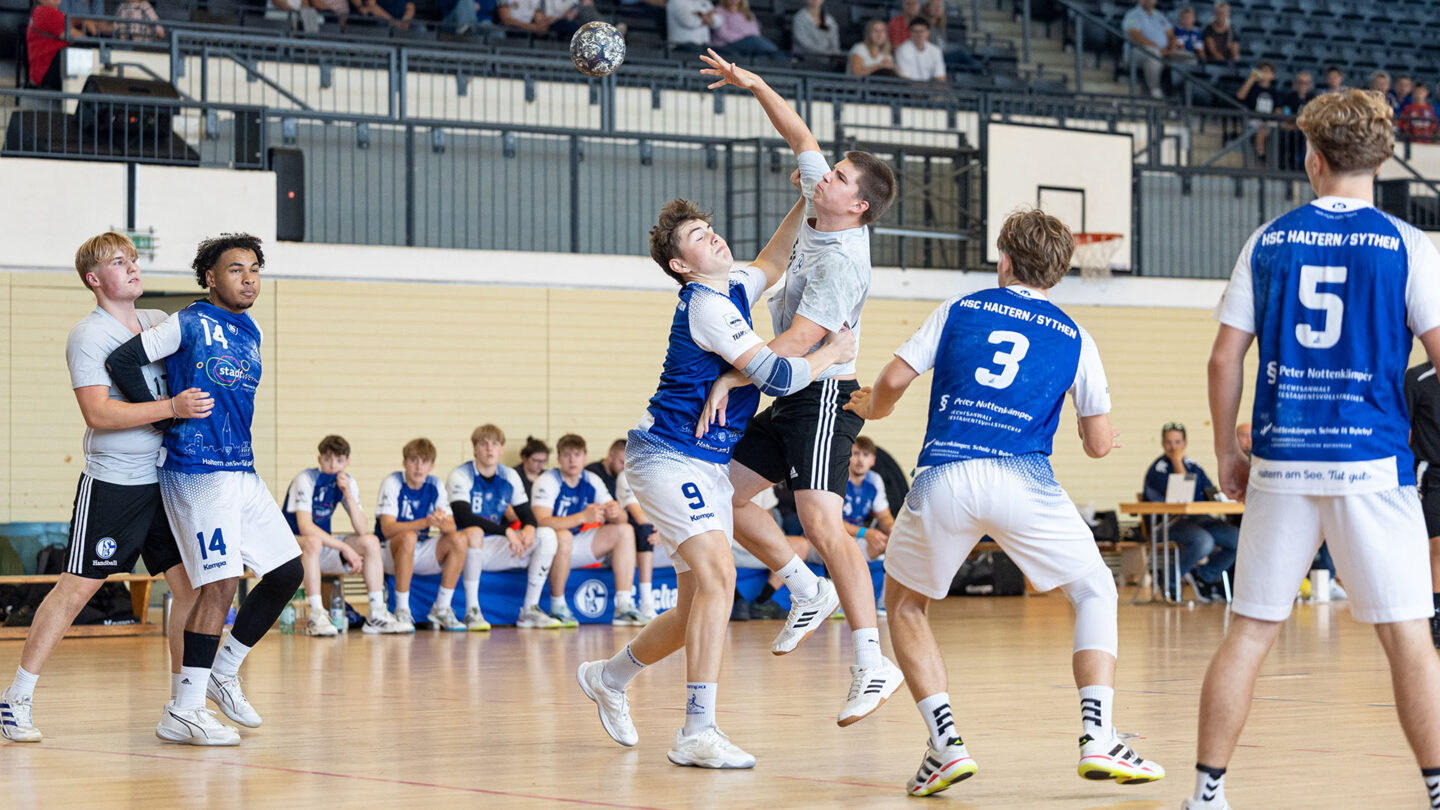 260915-100-Jahre-Handball-Veranstaltung-8
