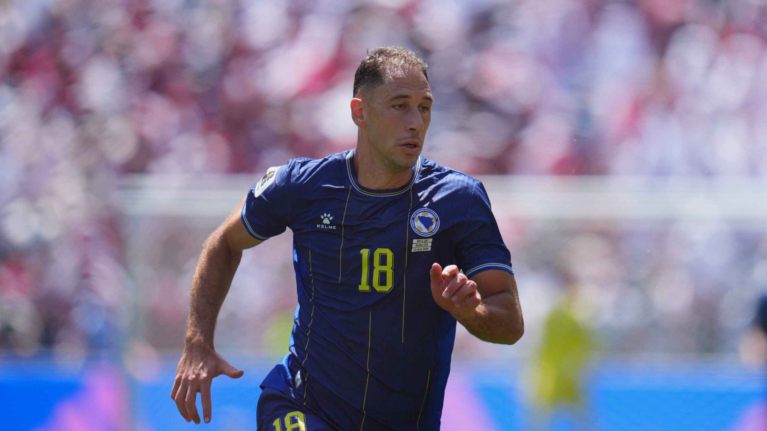Bosnia WCup Soccer