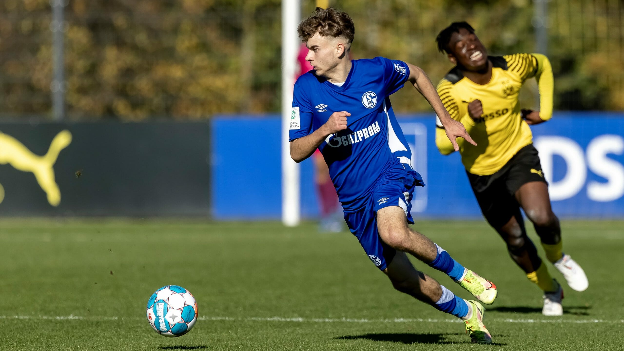 BVB &#8211; FC Schalke 04 U19 Shubin