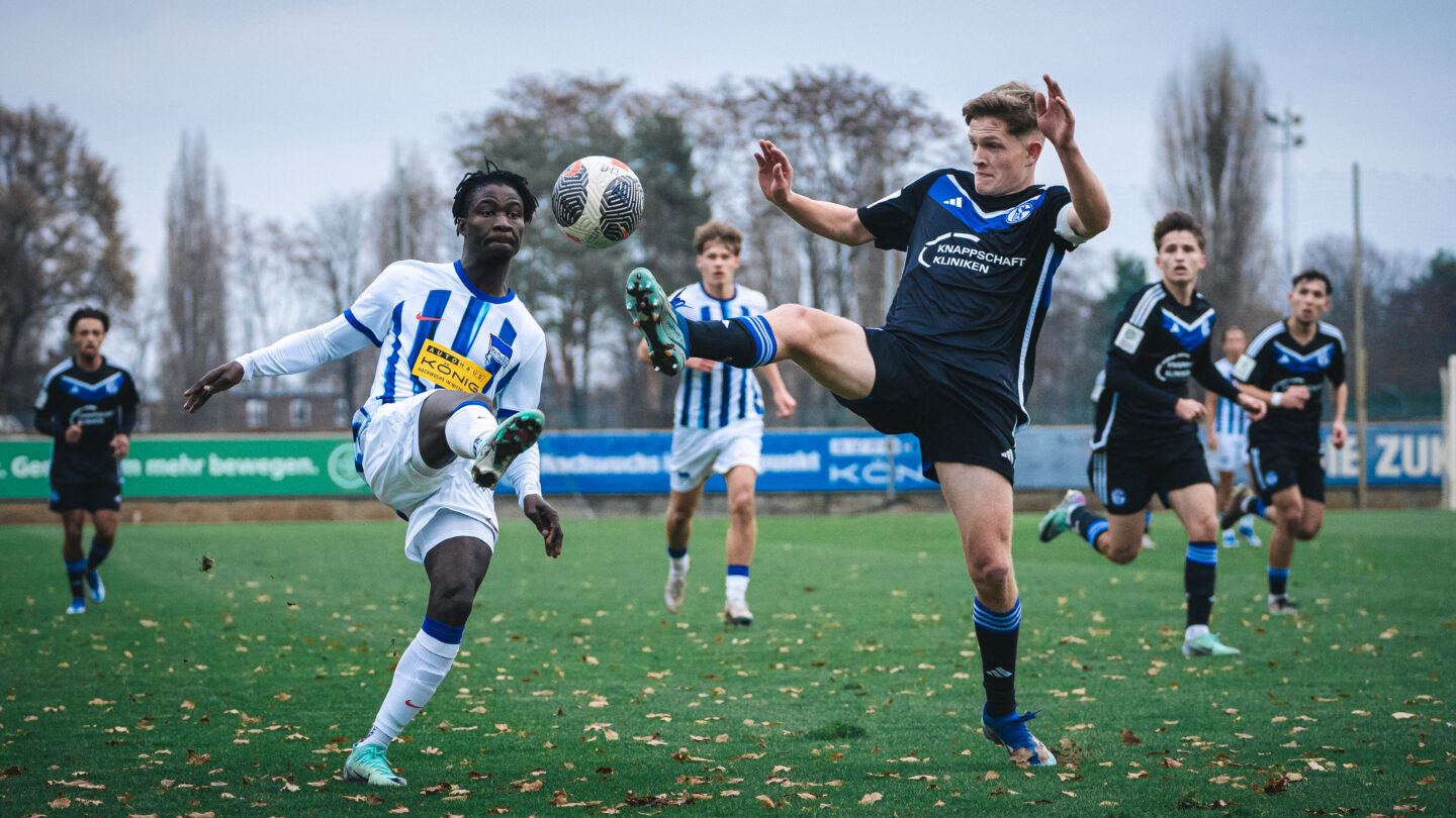 17.12.2023 Hertha BSC vs. U19, Niklas Barthel