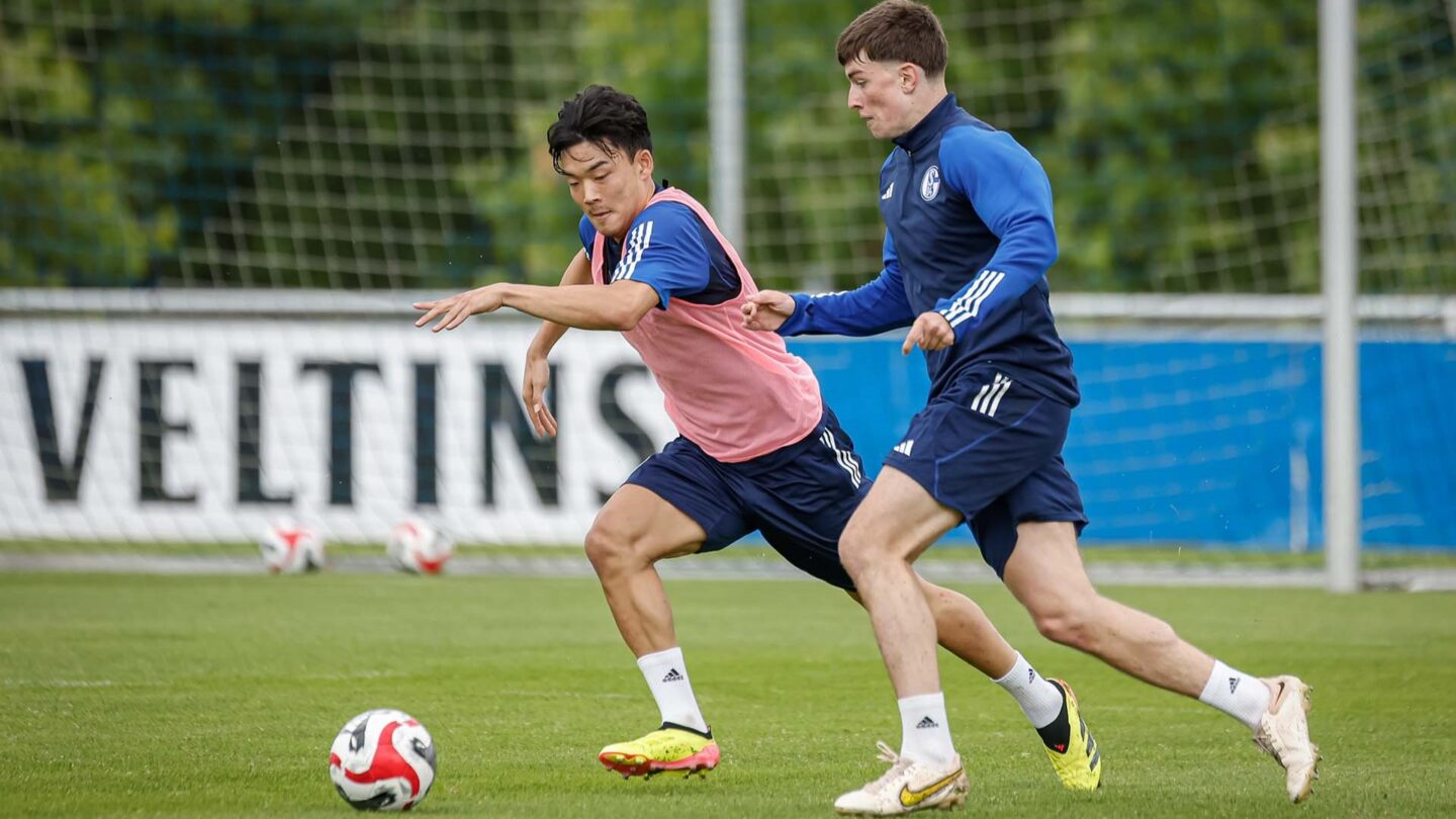 Schalke U23, Hong und Martinez
