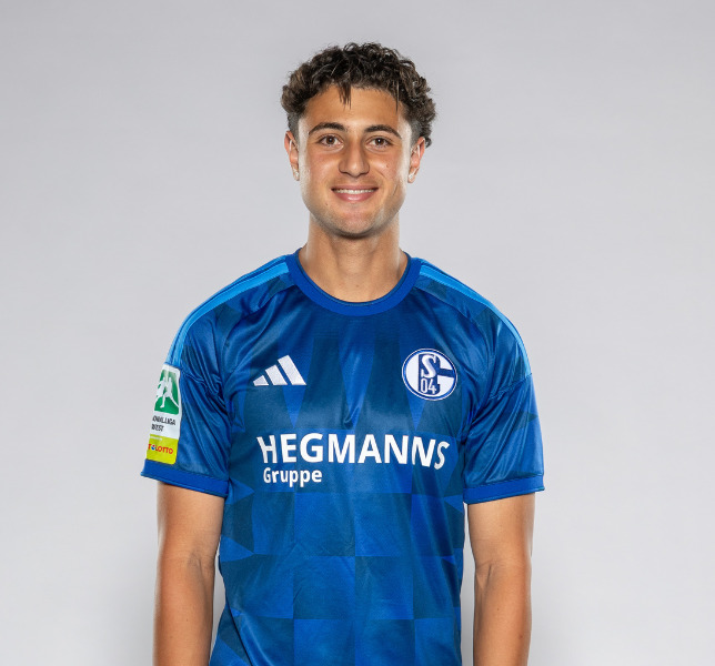 Ayman Gulasi