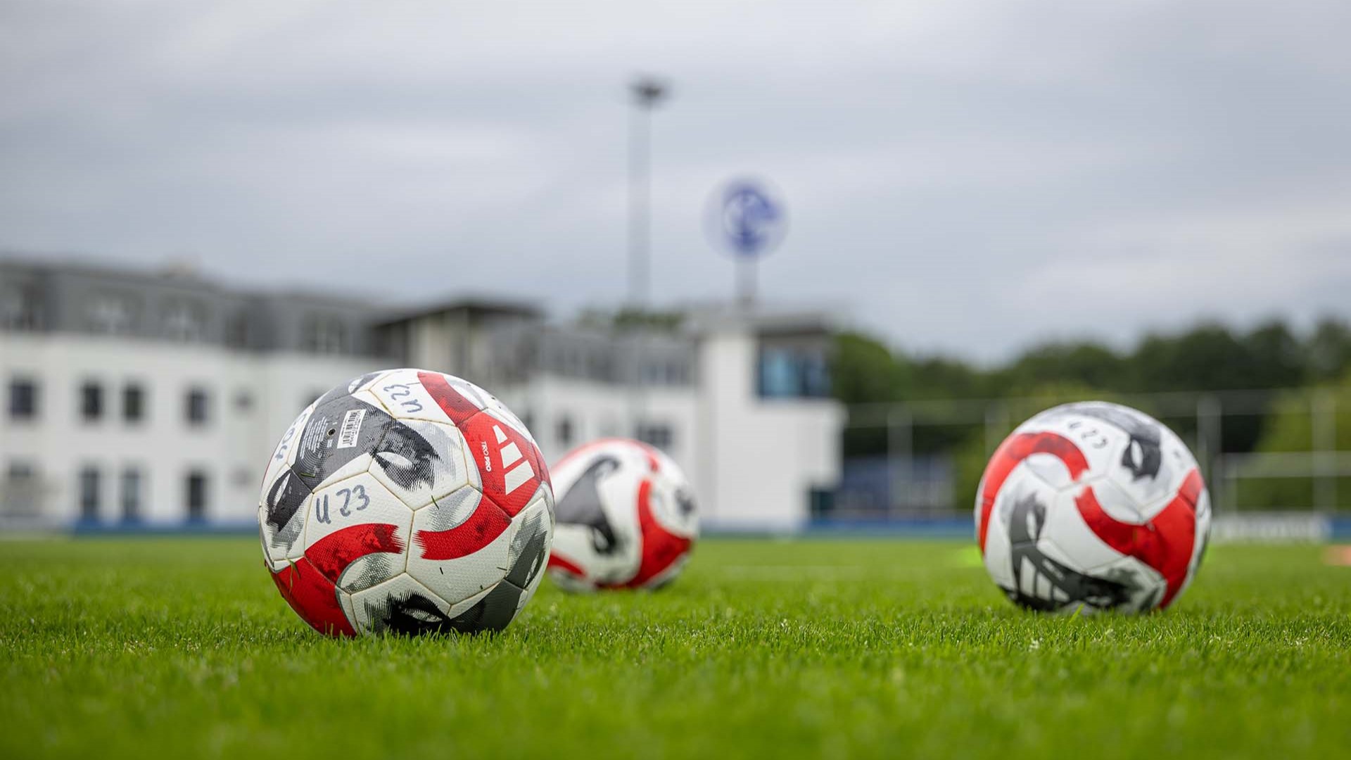 FC Schalke 04, U23, Trainingsauftakt, Saison 2024/2025, 18.06.2024