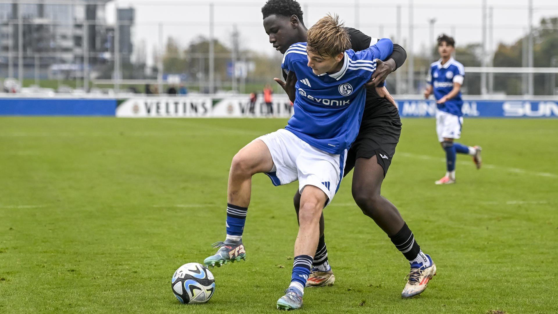 09.11.24, U17 &#8211; Wuppertaler SV, Knappenschmiede