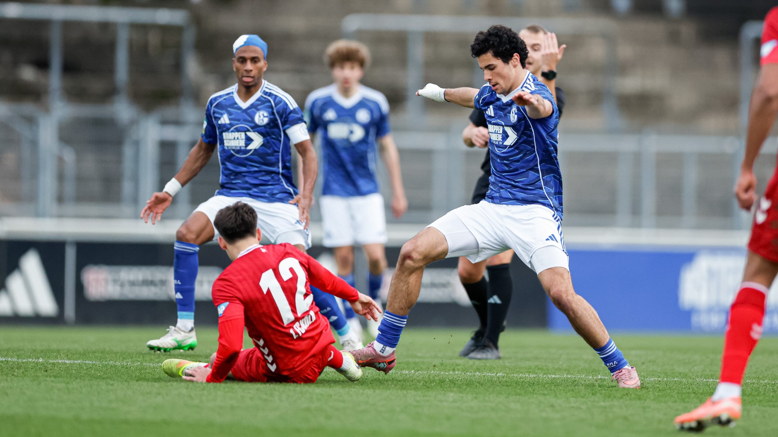 FC Schalke 04, U23, 1. FC Köln, Saison 2025/2026, 29.11.2025