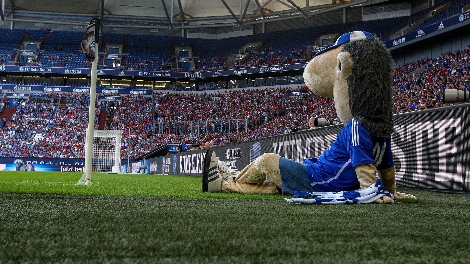 Erwin in der VELTINS-Arena