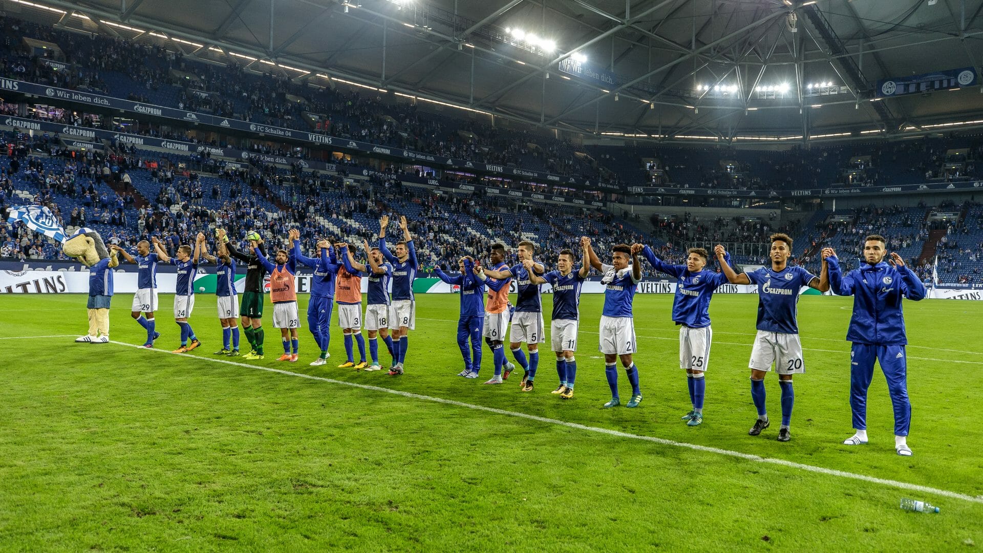 FC Schalke 04 - VfB Stuttgart
