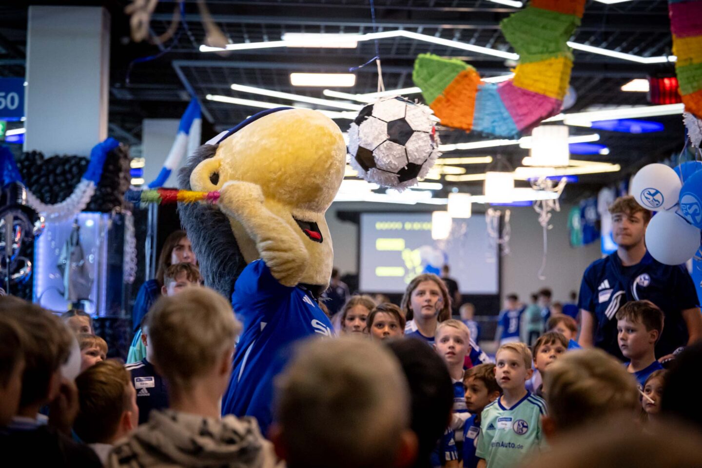 FC Schalke 04, Erwin, 30. Geburtstag, Kids-Party, Glückauf Club, Knappenkids, 04.05.2025
